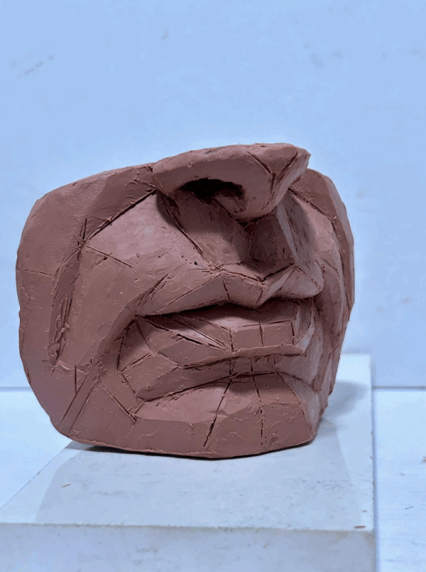 Plane Deconstruction (The Face) with Jorge Vascano – Fall 2025 - Image 3